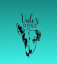 Vale’s dog educazione cinofila